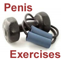 penis exercise programs compared